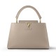 LV Capucines MM handbag M42253