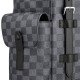 LV Backpack Christopher MM N41379