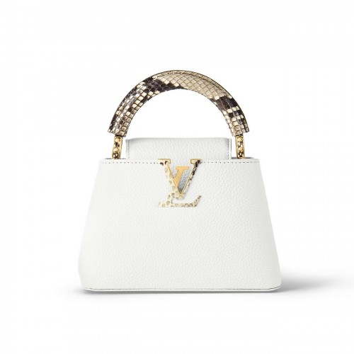 LV Capucines Mini handbag N98477