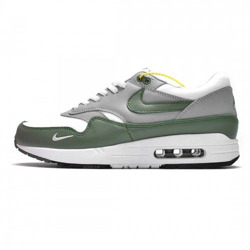 Nike AIR MAX 1 PREMIUM 'SPIRAL SAGE' DB5074-100