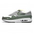 Nike AIR MAX 1 PREMIUM 'SPIRAL SAGE' DB5074-100