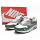 Nike AIR MAX 1 PREMIUM 'SPIRAL SAGE' DB5074-100