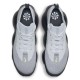 Air Max Scorpion Wolf Grey 2022  DJ4701-002