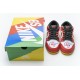 Nike Dunk SB Low Pro Vietnam 25th Anniversary 309242-307