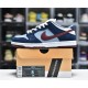 FTC X DUNK LOW PREMIUM SB 'FINALLY' 313170-463