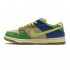 Nike Dunk Low Pro SB Brooklyn 313170-771