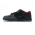 Nike Dunk Low Premium SB AE QS 'Northern Lights' 724183-063 