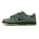 Concepts X Nike Dunk SB Green Lobster BV1310-337