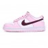 NIKE DUNK LOW GS 'PINK FOAM' CW1590-601