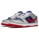 Nike Dunk Low Retro 'Samba' 2020 CZ2667-400