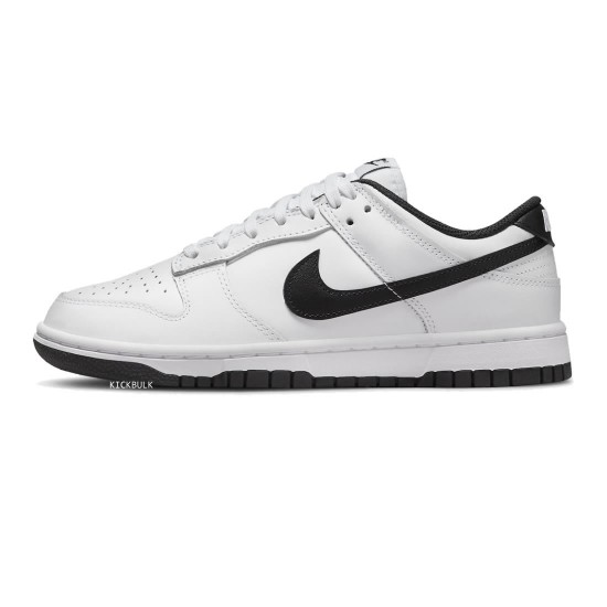 Nike Dunk Low Surfaces White Black DD1503-113