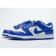 Supreme x Nike SB Dunk Low 'Blue Stars' DH3228-100