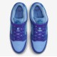 NIKE DUNK LOW PRO SB 'FRUITY PACK - BLUE RASPBERRY' 2022 DM0807-400