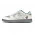 Nike Dunk Low Ice DO2326-001