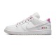 NIKE DUNK LOW SB 'BE TRUE' 2022 DR4876-100