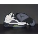 AIR JORDAN 5 RETRO 'GREEN BEAN' 2022 DM9014-003 SPECIAL BOX