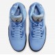 AIR JORDAN 5 RETRO SE 'UNC' 2023 DV1310-401