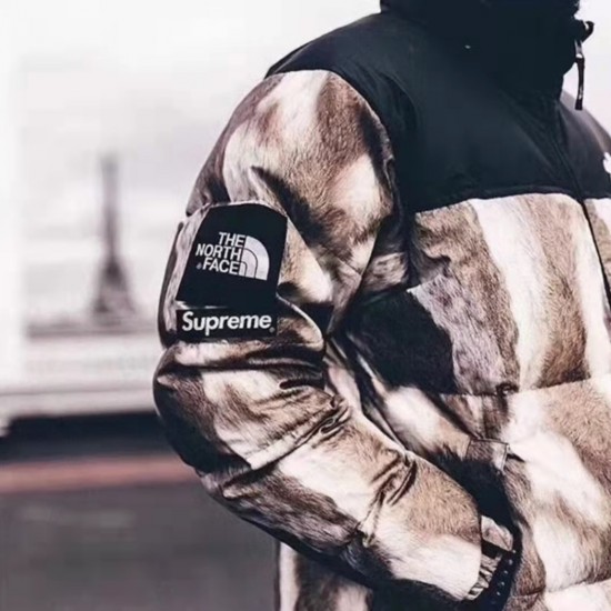 Supreme x The North Face horse hair down jacket