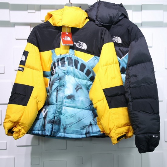 Supreme X The North Face Liberty goddess down jacket