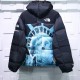 Supreme X The North Face Liberty goddess down jacket