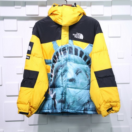 Supreme X The North Face Liberty goddess down jacket