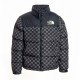 GUCCI x The North Face down jacket