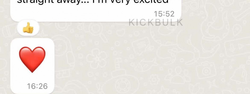 Feedback from a European customer friend Kickbulk Sneaker Free Shipping