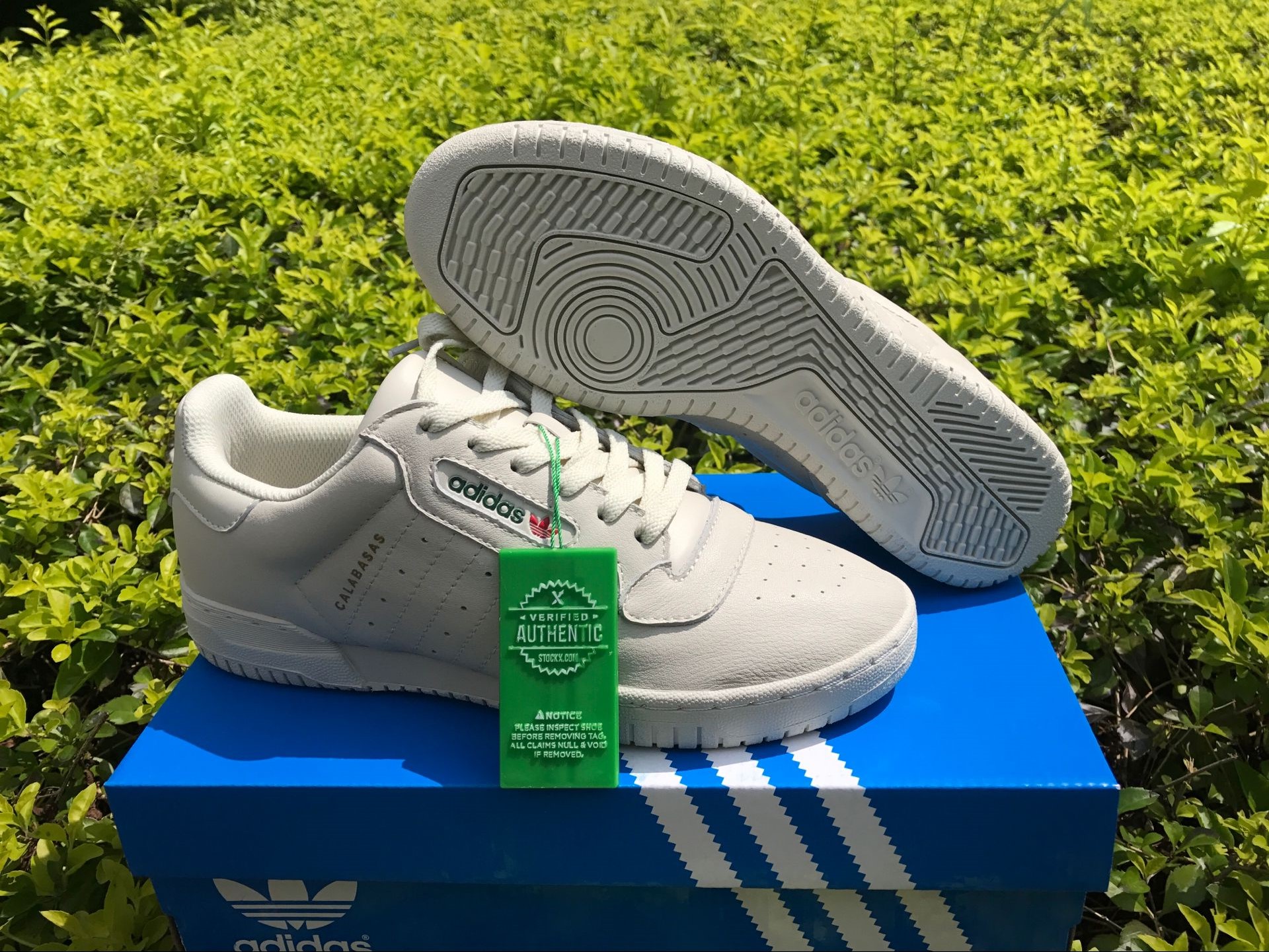 Adidas Yeezy Powerphase Calabasas Cq1693 14 - www.kickbulk.cc