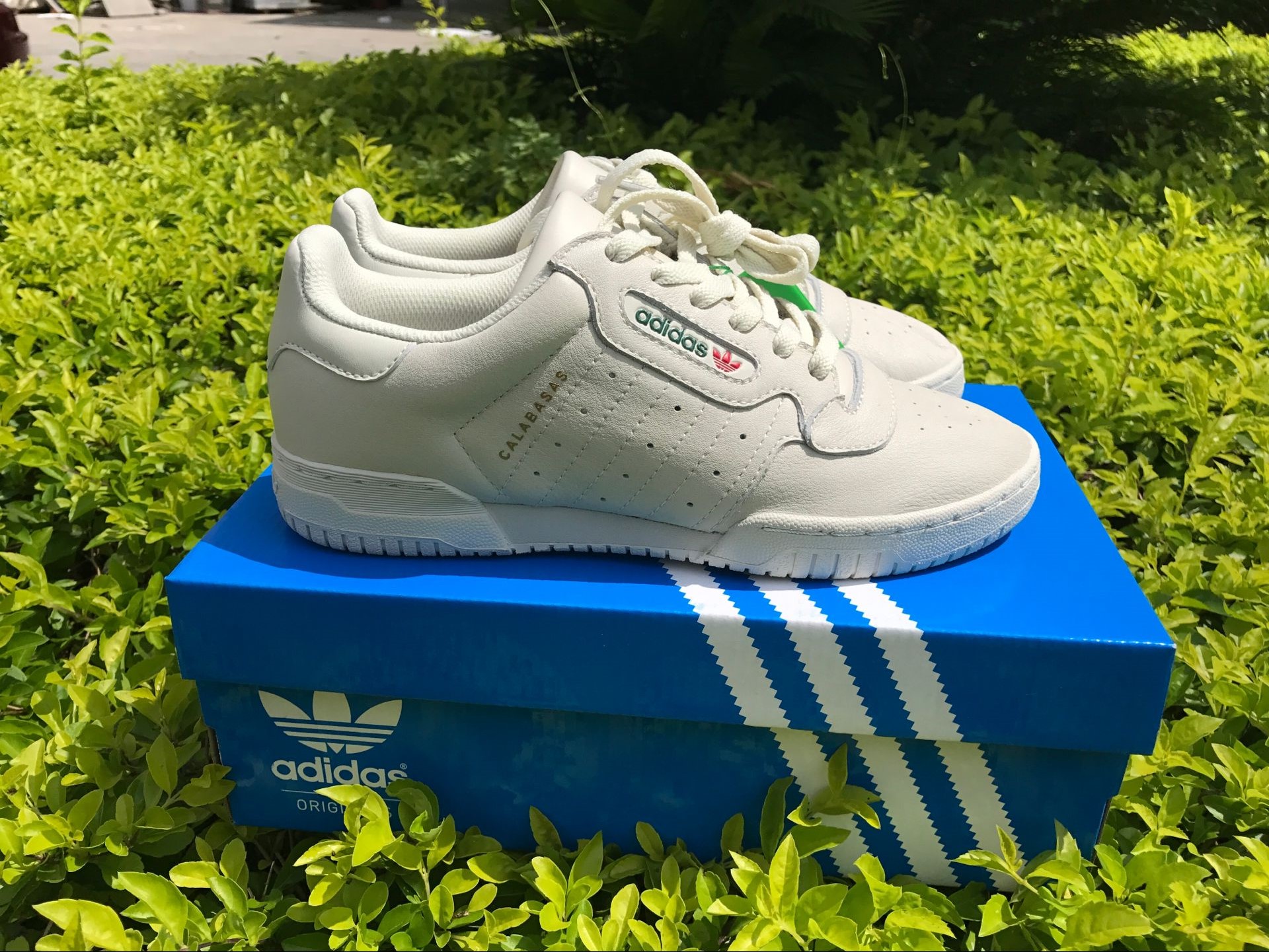 Adidas Yeezy Powerphase Calabasas Cq1693 9 - www.kickbulk.cc