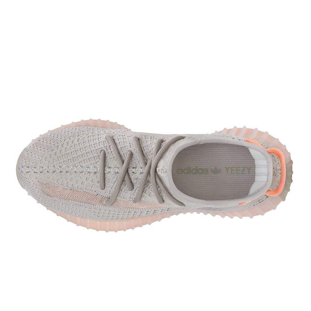 Adidas Yeezy Boost 350 V2 True Form Eg7492 5 - www.kickbulk.cc