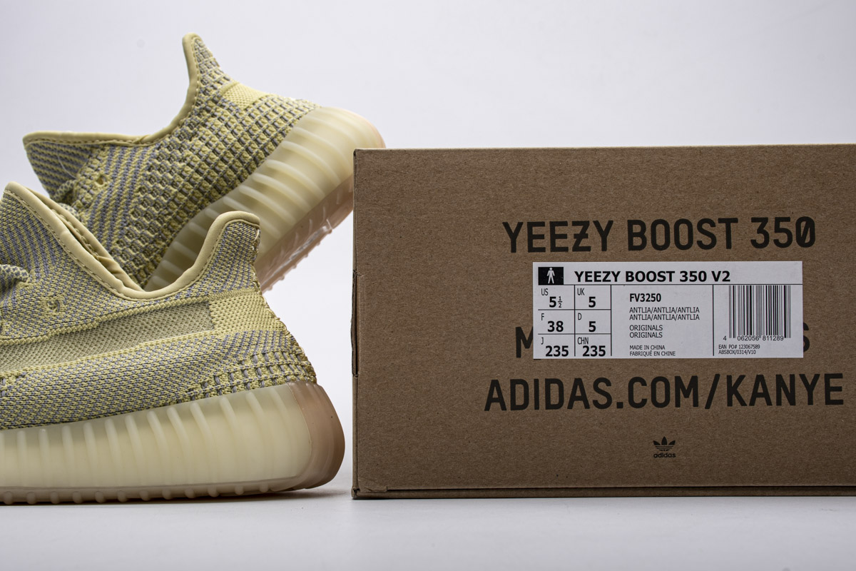 Adidas Yeezy Boost 350 V2 Antlia Non Reflective Fv3250 Kickbulk 5 - www.kickbulk.cc