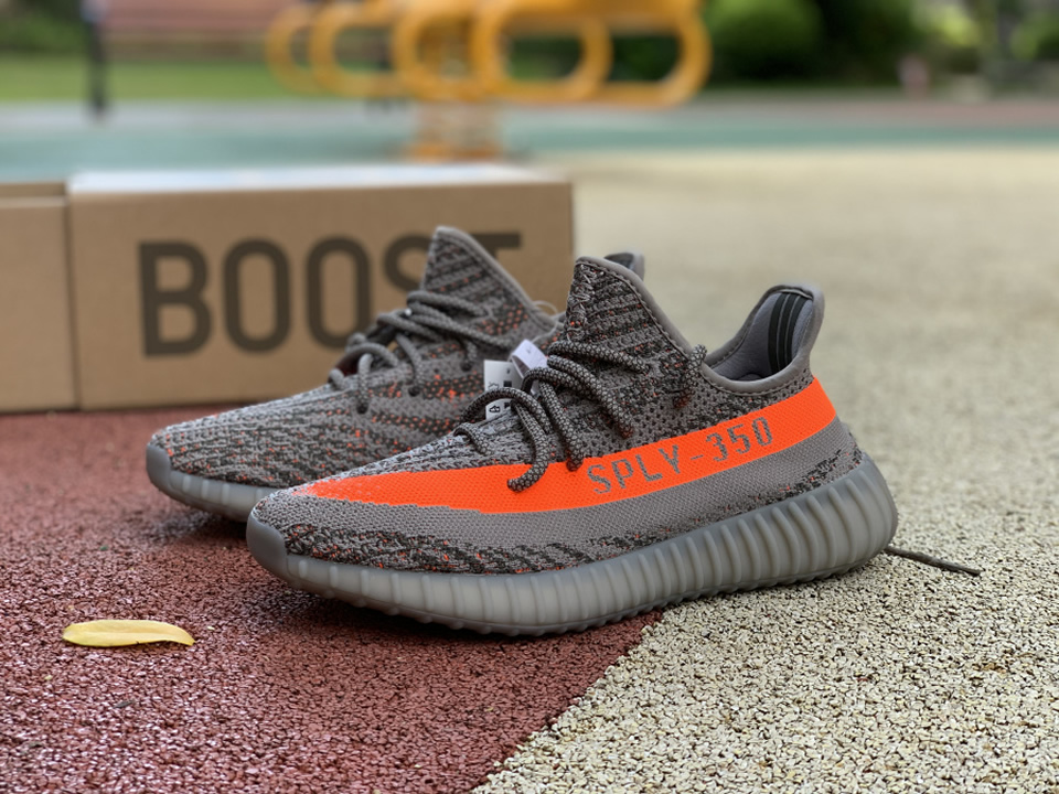 Adidas Yeezy Boost 350 V2 Beluga Reflective Gw1229 Kickbulk 11 - www.kickbulk.cc