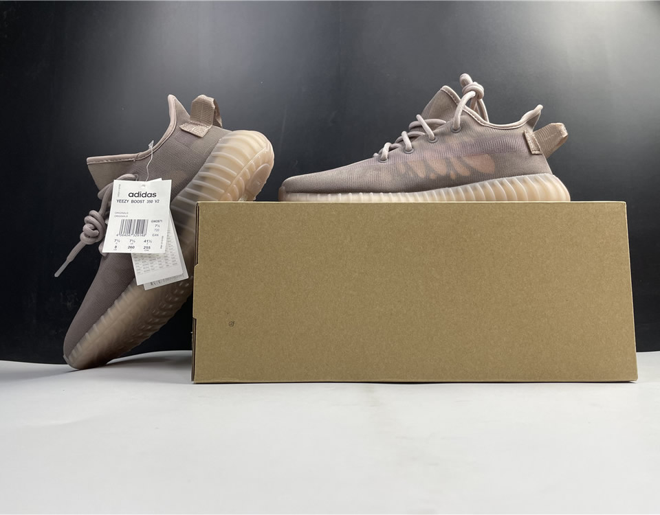 Adidas Yeezy Boost 350 V2 Mono Light Gw2871 18 - www.kickbulk.cc