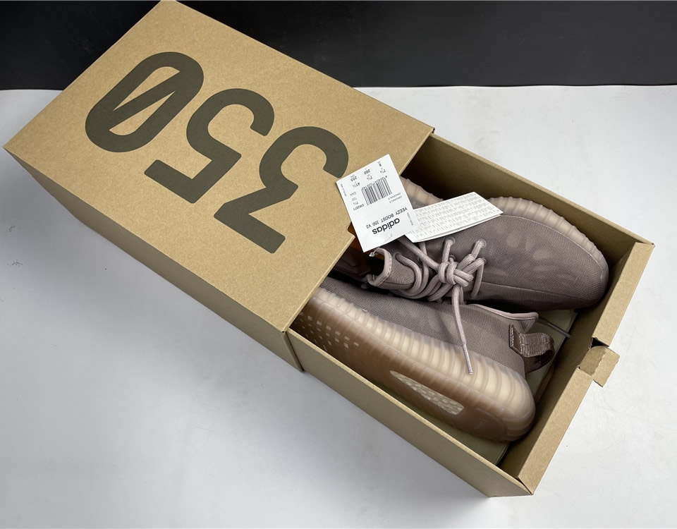 Adidas Yeezy Boost 350 V2 Mono Light Gw2871 19 - www.kickbulk.cc