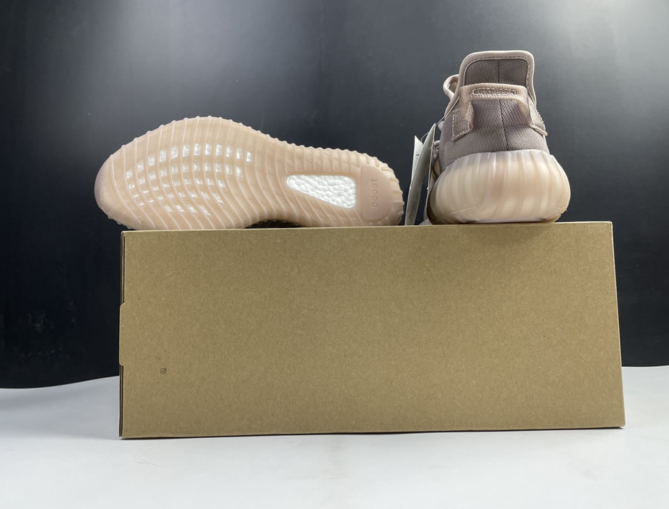 Adidas Yeezy Boost 350 V2 Mono Light Gw2871 21 - www.kickbulk.cc