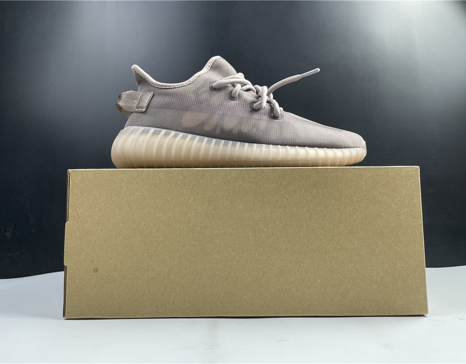 Adidas Yeezy Boost 350 V2 Mono Light Gw2871 22 - www.kickbulk.cc