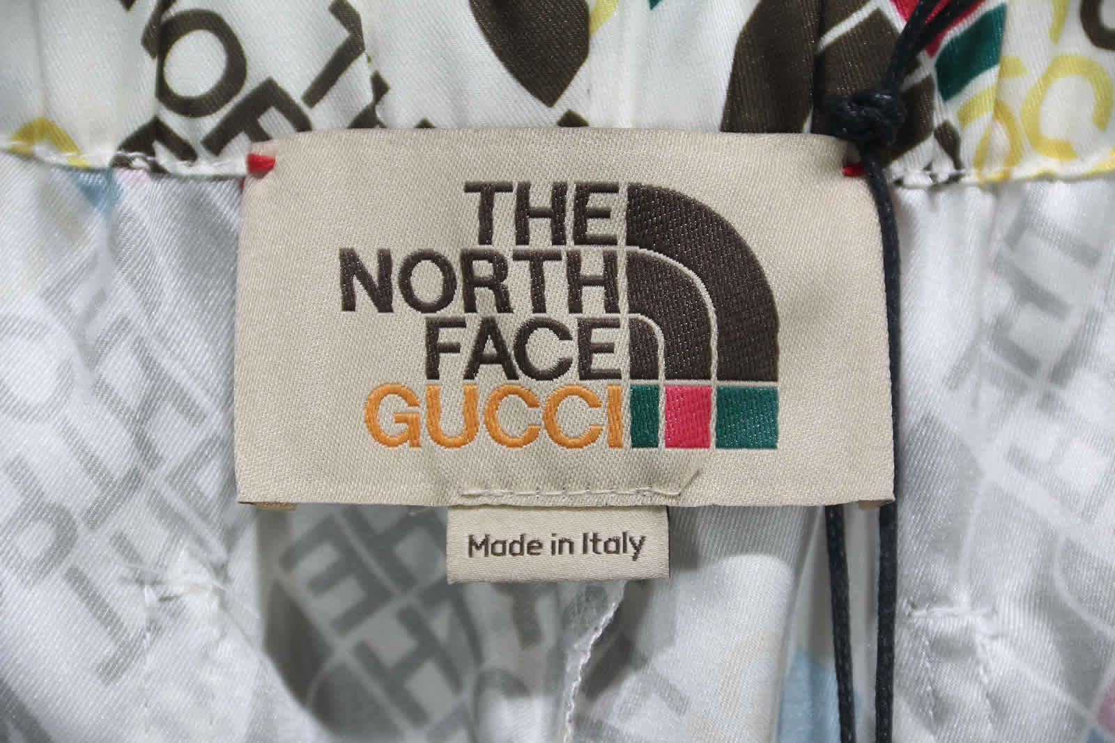 Gucci The North Face Silk Shorts 13 - www.kickbulk.cc