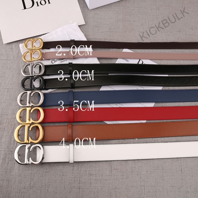 Dior Belt Kickbulk 4 - www.kickbulk.cc