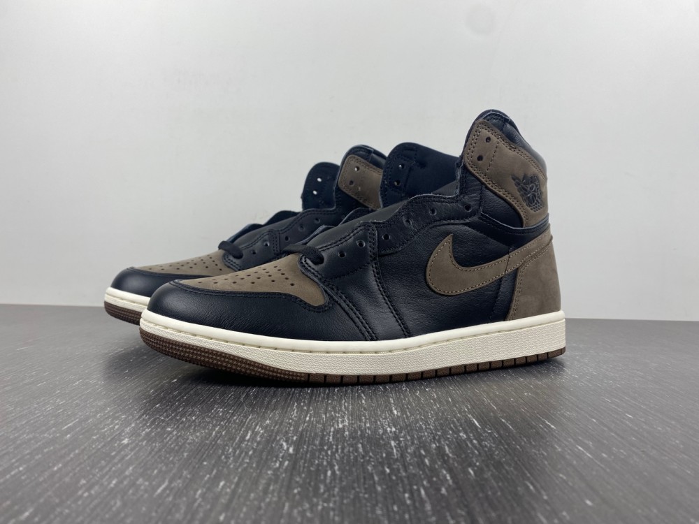 Air Jordan 1 Retro High Og Palomino Dz5485 020 6 - www.kickbulk.cc