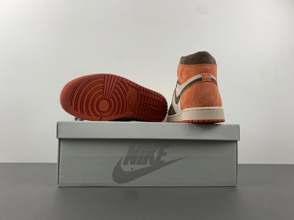 Air Jordan 1 Retro High Og Dusted Clay Wmns Fq2941 200 16 - www.kickbulk.cc