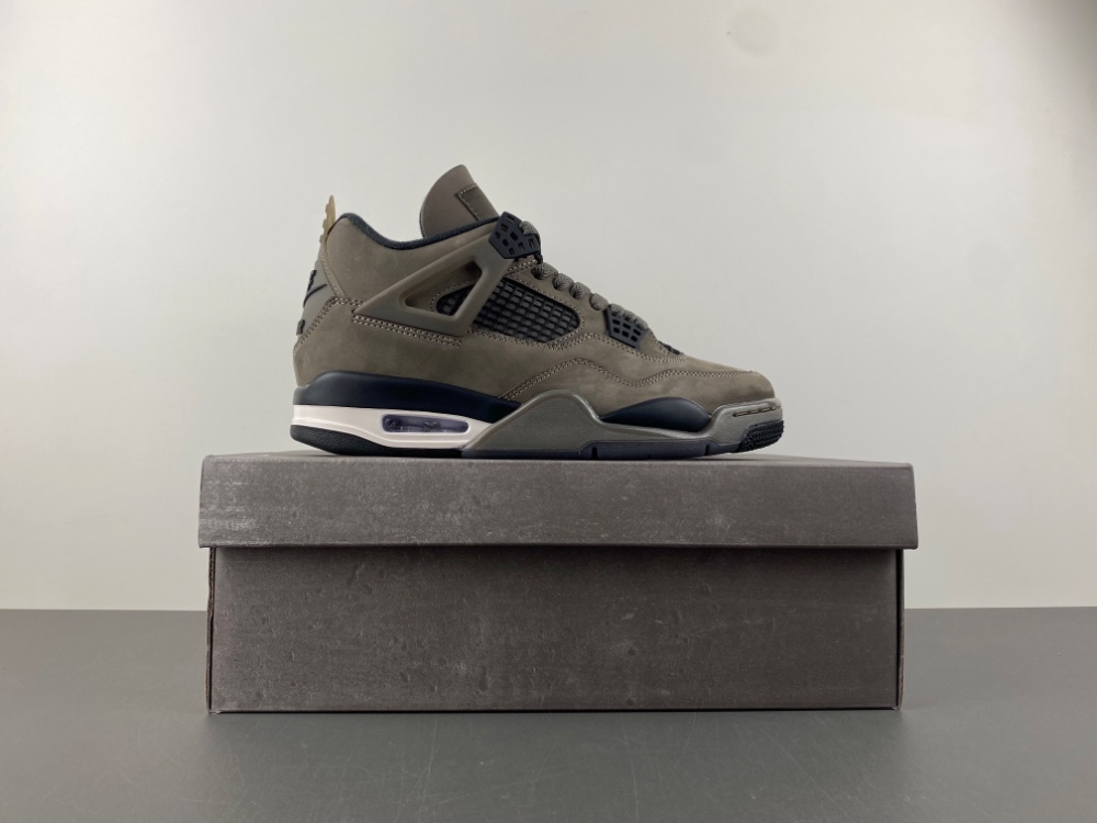 Air Jordan 4 Cave Stone Fv5029 200 10 - www.kickbulk.cc
