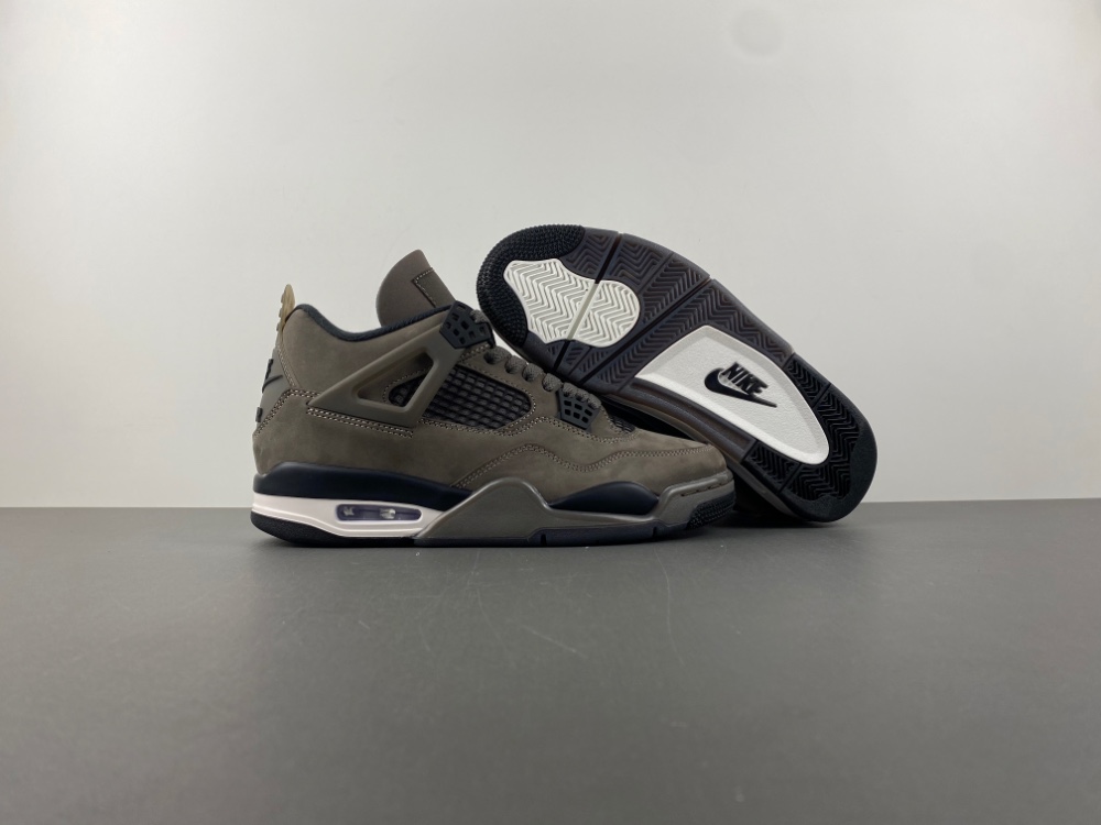 Air Jordan 4 Cave Stone Fv5029 200 4 - www.kickbulk.cc
