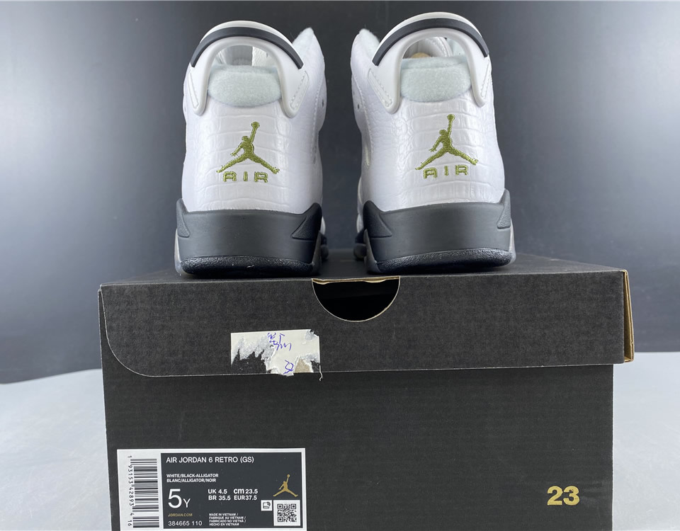 Air Jordan 6 Retro Bg Alligator 384665 110 21 - www.kickbulk.cc