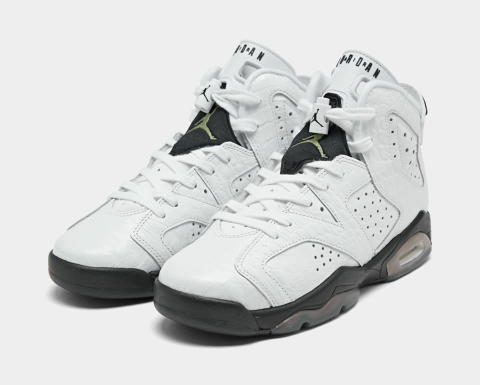 Air Jordan 6 Retro Bg Alligator 384665 110 3 - www.kickbulk.cc