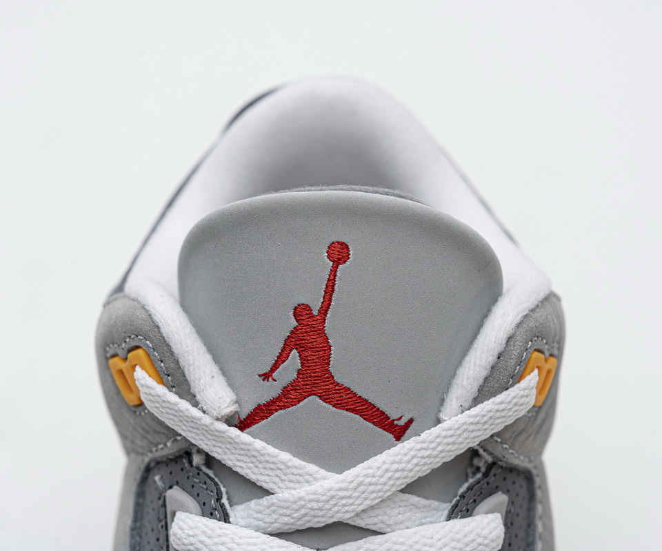 Nike Air Jordan 3 Cool Grey Ct8532 012 10 - www.kickbulk.cc