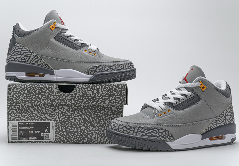 Nike Air Jordan 3 Cool Grey Ct8532 012 6 - www.kickbulk.cc