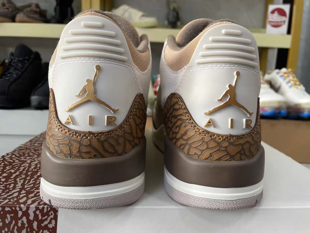 Air Jordan 3 Retro Palomino Ct8532 102 10 - www.kickbulk.cc