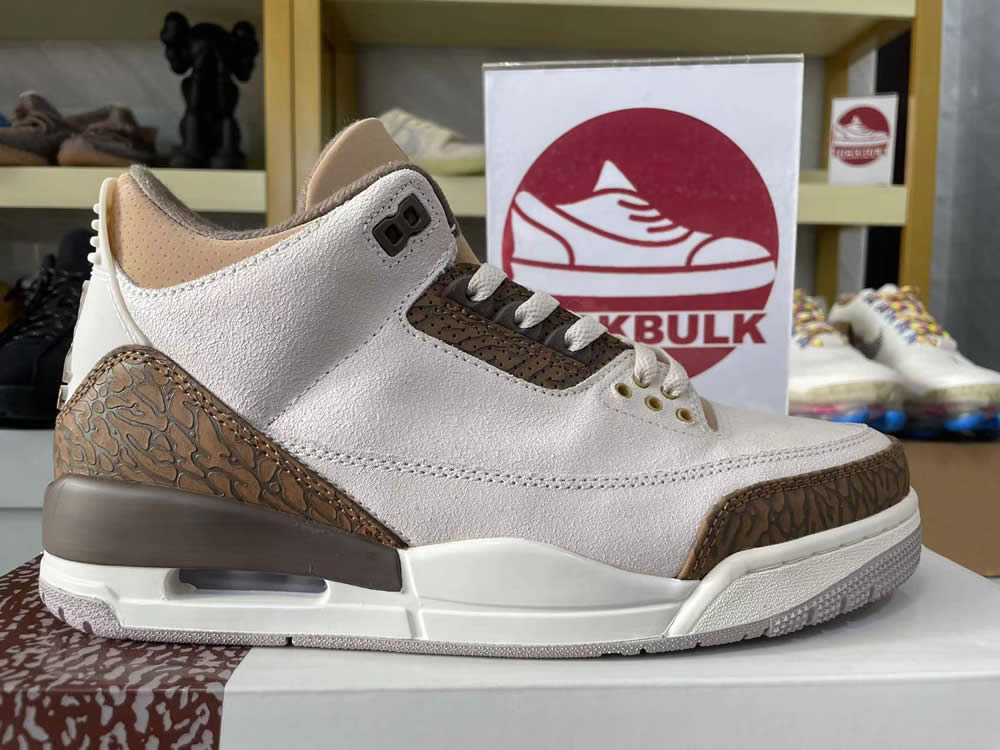 Air Jordan 3 Retro Palomino Ct8532 102 11 - www.kickbulk.cc