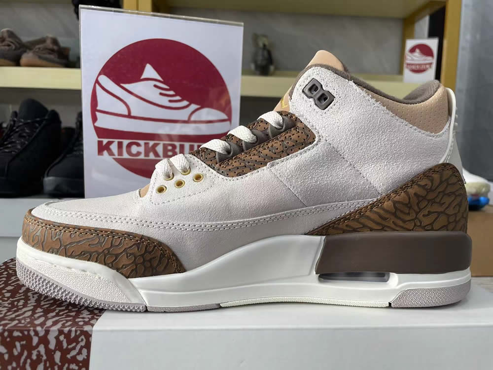 Air Jordan 3 Retro Palomino Ct8532 102 12 - www.kickbulk.cc