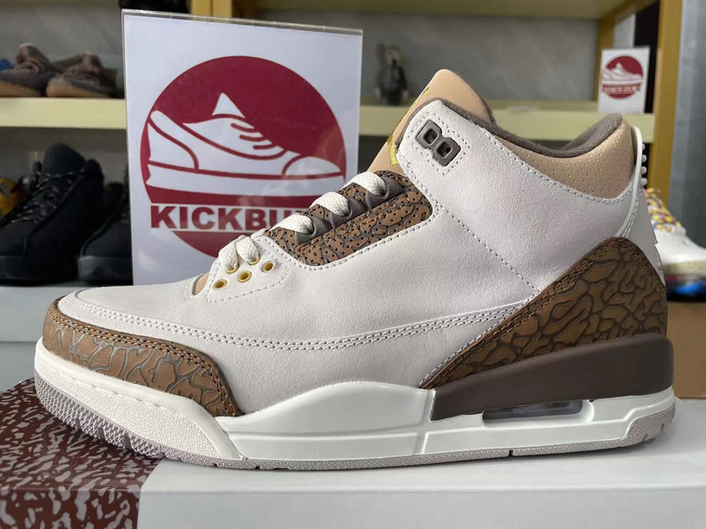 Air Jordan 3 Retro Palomino Ct8532 102 13 - www.kickbulk.cc